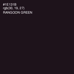 #1E131B - Rangoon Green Color Image
